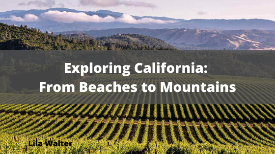 Exploring California From Beaches To Mountains